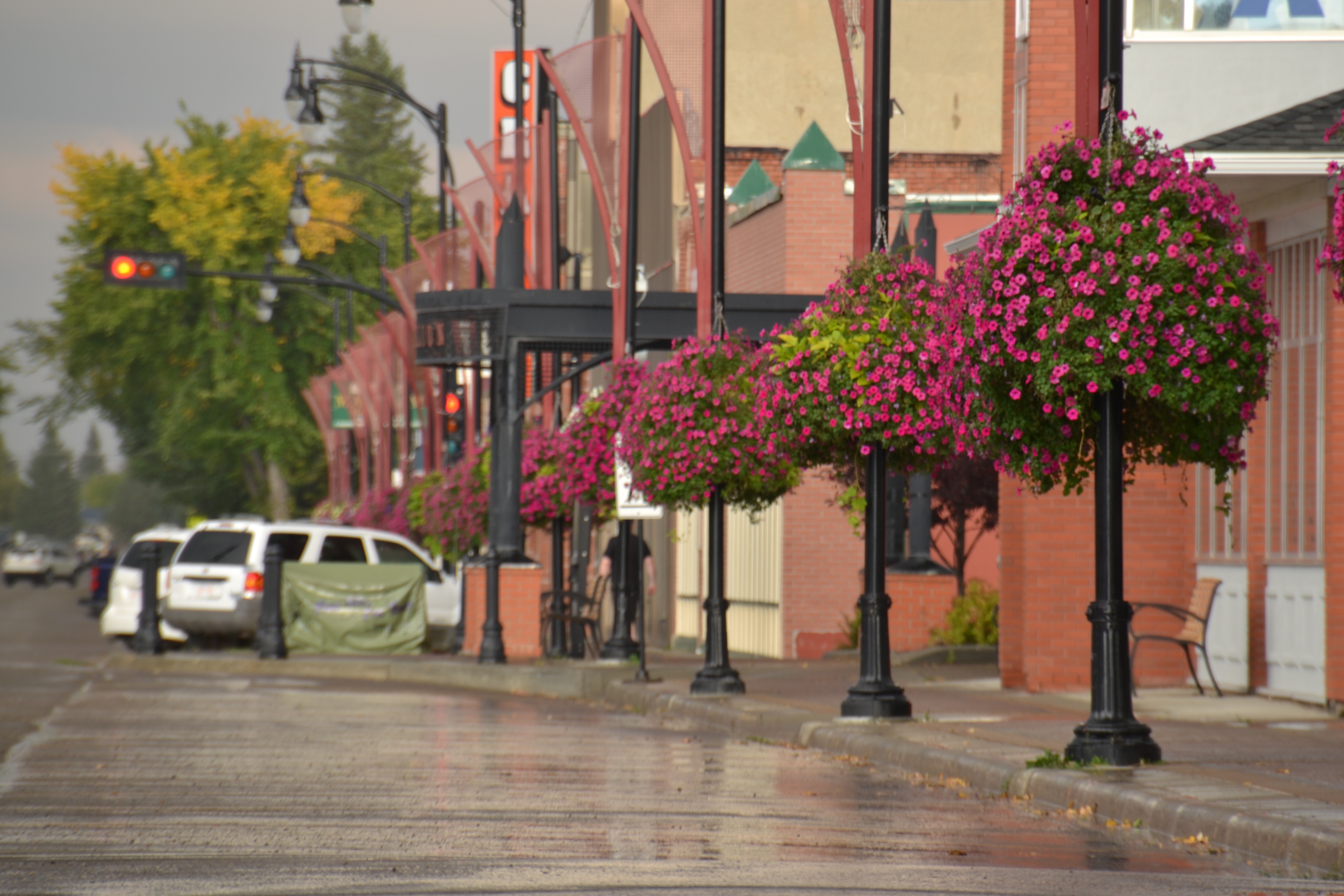 Flower Baskets